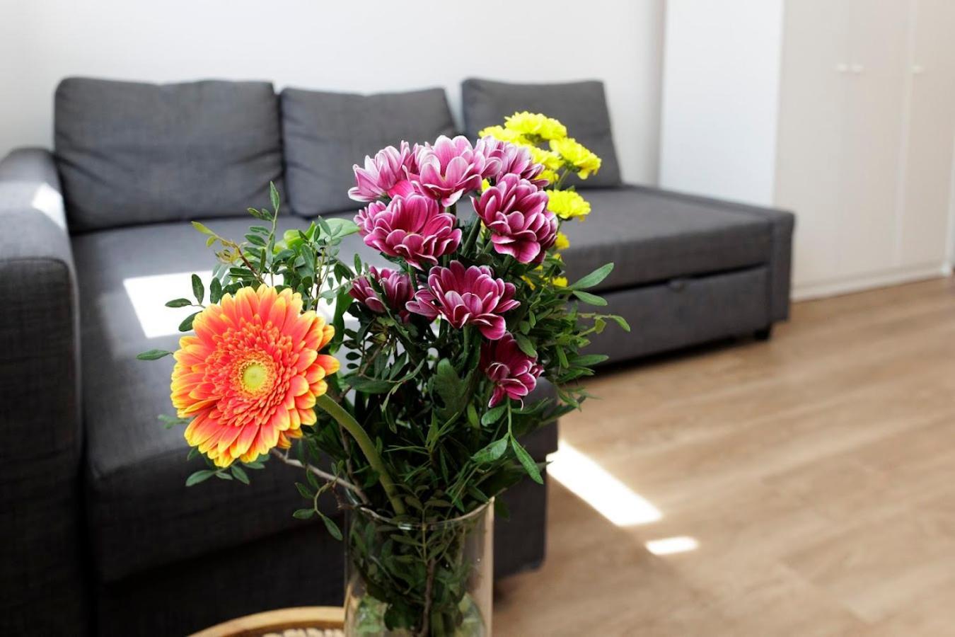 Diamond Residence In Old Town With Free Parking Pressburg Exterior foto